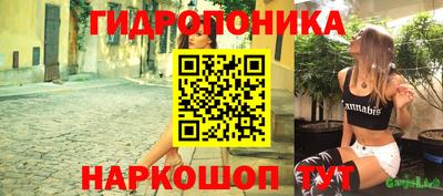 стаф Пенза