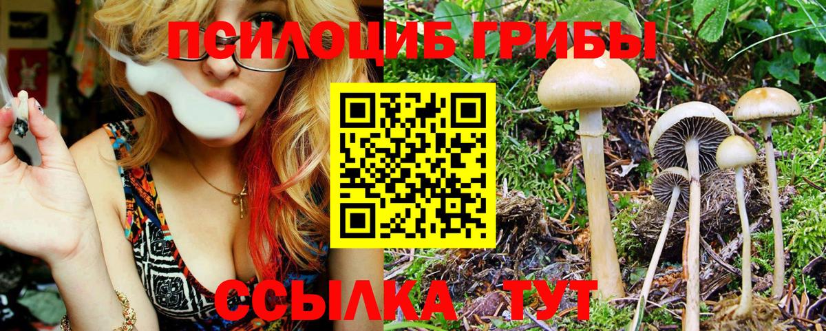 Галлюциногенные грибы Psilocybine cubensis  Псилоцибиновые грибы MAGIC MUSHROOMS  Соликамск  Вход с VPN 