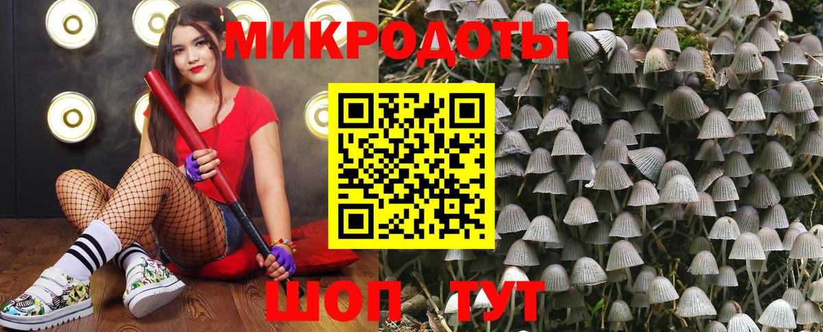 Галлюциногенные грибы GOLDEN TEACHER Соликамск